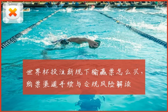 世界杯投注新规下输赢票怎么买，购票渠道手续与合规风险解读