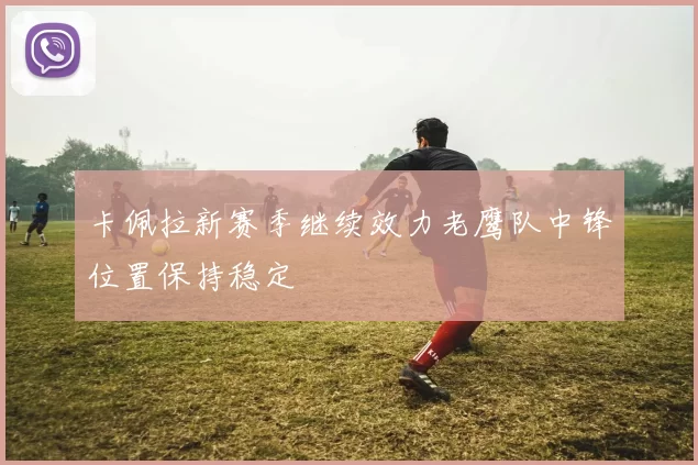 卡佩拉新赛季继续效力老鹰队中锋位置保持稳定