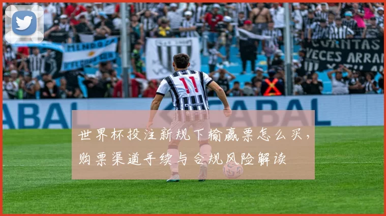 世界杯投注新规下输赢票怎么买，购票渠道手续与合规风险解读