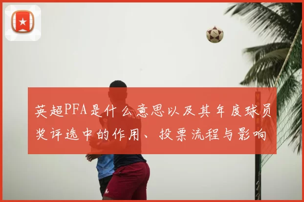英超PFA是什么意思以及其年度球员奖评选中的作用、投票流程与影响