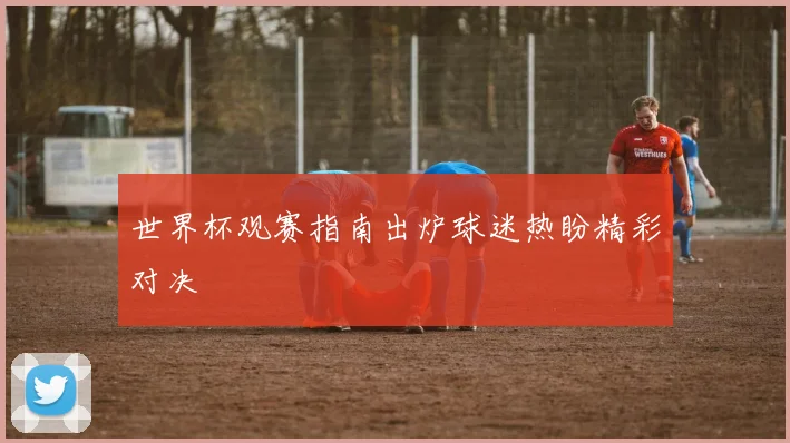 世界杯观赛指南出炉球迷热盼精彩对决