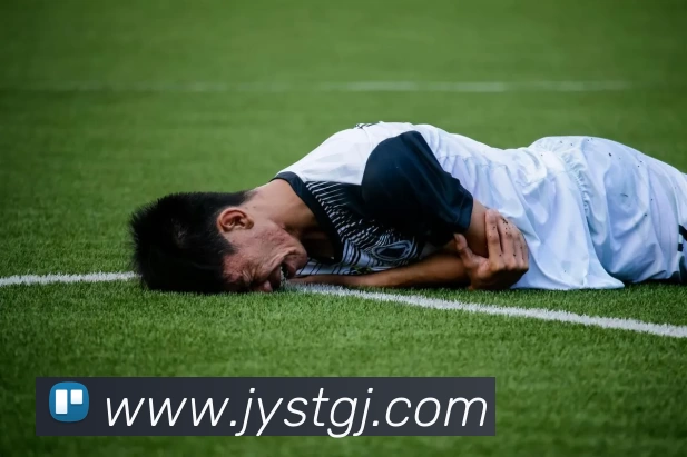 彩神网页版 - 彩神(中国)平台生态图